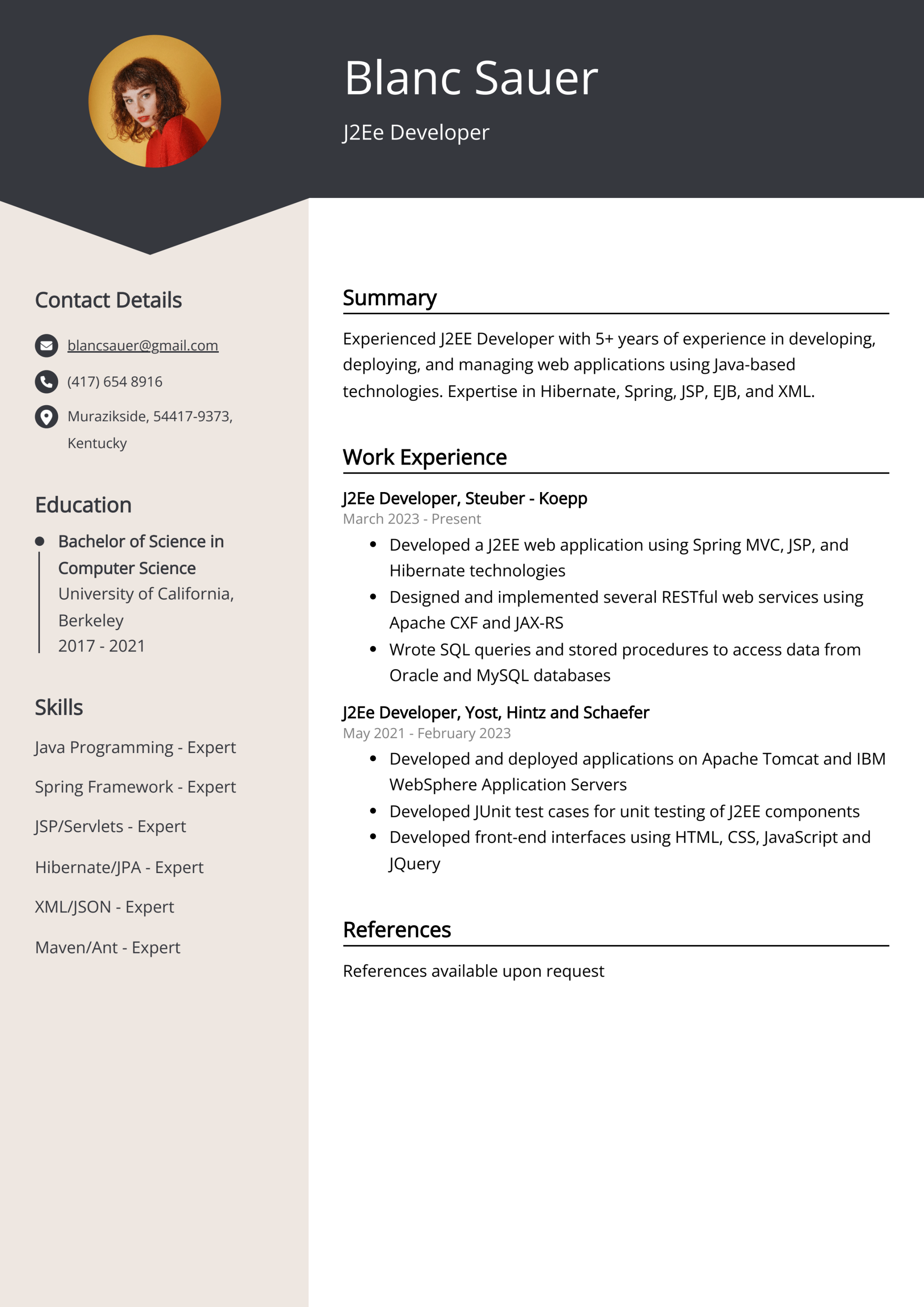 JEe Developer CV: Sample & Guide [Entry Level + Senior Jobs]